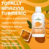 Dynamic Health Labs Turmeric Gold Supplement, 32 Ounce