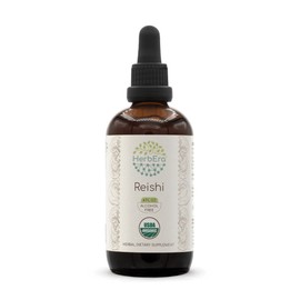 HerbEra Reishi B120 USDA Organic Tincture | Alcohol-Free Extract, High-Potency Herbal Drops | Certified Organic Reishi Mushroom (Ganoderma Lucidum) Dried Mushroom (4 oz)