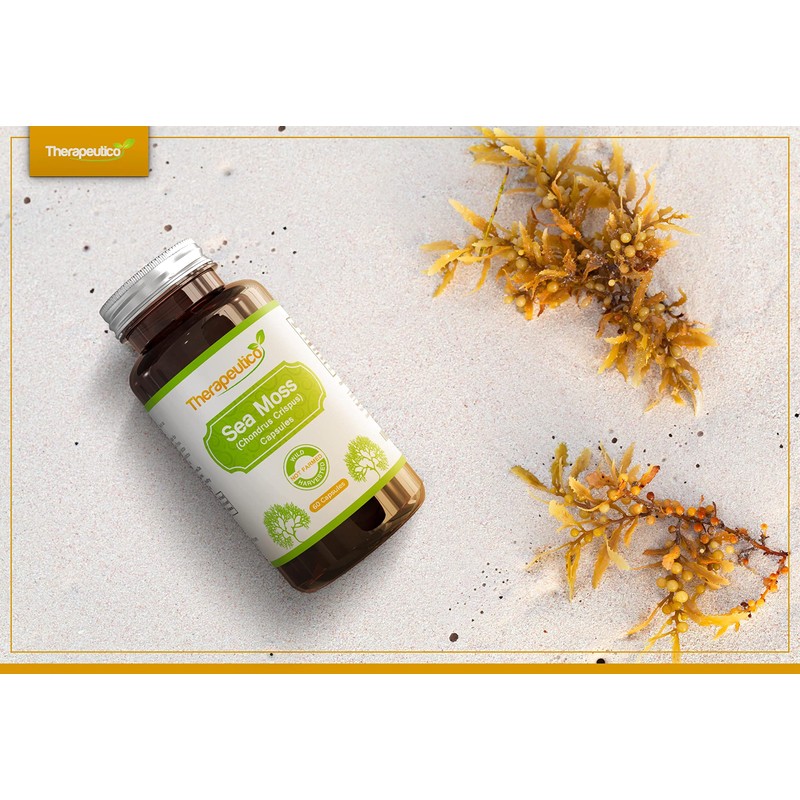 Therapeutico Sea Moss Capsules | Wild Harvested | 60 Veg
