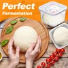 Vodolo Small Pizza Dough Proofing Box with Sealing Lids, Set