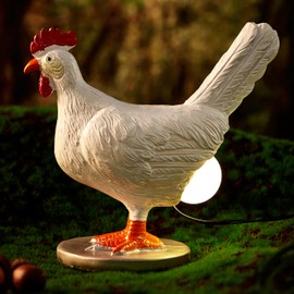 Chicken Egg lamp, Chicken lamp, Resin Chicken Egg Night Light with USB, Home Decor Color Box Birthday Gift for Friends (A)