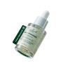더랩바이블랑두 (Genuine) The Lab by Blanc Do Green Pla Pore