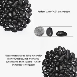 Black Polished Pebbles 0.5-1 Inch, 10LB – Versatile Decorative Stones for Aquarium Gravel, Terrariums, Potted Plants & Vase Fillers, Great for Modern Home & Patio Landscaping