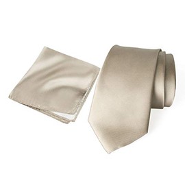 Spring Notion Men's Regular Solid Color Satin Microfiber Tie and Handkerchief Set Champagne