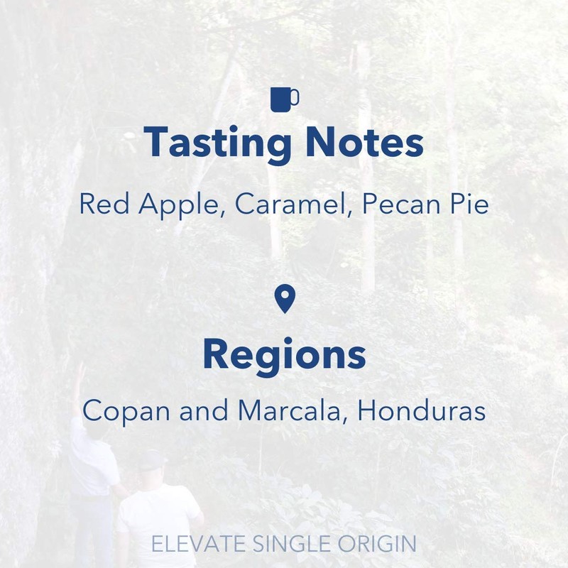 Partners Coffee Roasters, Elevate Single Origin, Whole Bean Coffee -