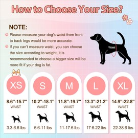 Ambreview Disposable Dog Diapers Female, Just Pull It Up, Doggie Diapers for Female Dogs, Strong Absorbency | Leak Proof, for Dogs in Heat | Elderly | Disabled, S 10 PCS