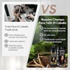 Champú para Teñir el Cabello Negro 3 en 1 Black