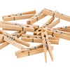Laundry 360 Extra Large Wooden 100 Pack Clothespins