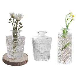 Diamond Small Glass Vase for Centerpieces Set of 3,Crystal Clear Glass Bud Vase Hydroponic Planter,Mini Embossed Vintage Table Vase Decorative for Wedding Farmhouse Party Home Decor(clear 2)