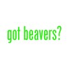 RDW Got Beavers ? Sticker - Decal - Die Cut