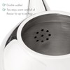 bredemeijer Santhee Double Walled Teapot, 1.4-Liter Stainless Steel Glossy Finish