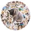 Cat Sticker Set, Cute Cat Stickers, 100 Sheets, Cat Waterproof