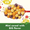 Cascadian Farm Organic Mini Fruitfuls Breakfast Cereal, Made With Whole