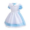 Dressy Daisy Fancy Wonderland Party Costume Dress Up Set with