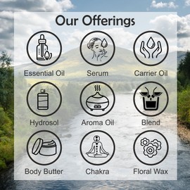 DEVPRAYAG Devprayag Pure Cassia Essential Oil (Cinnamomum Cassia) Steam Distilled (Pack of Two) 100ml X 2 (6.76 oz)