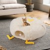 Petrendy Cat Tunnel Bed for Indoor Cats - Cute Cat