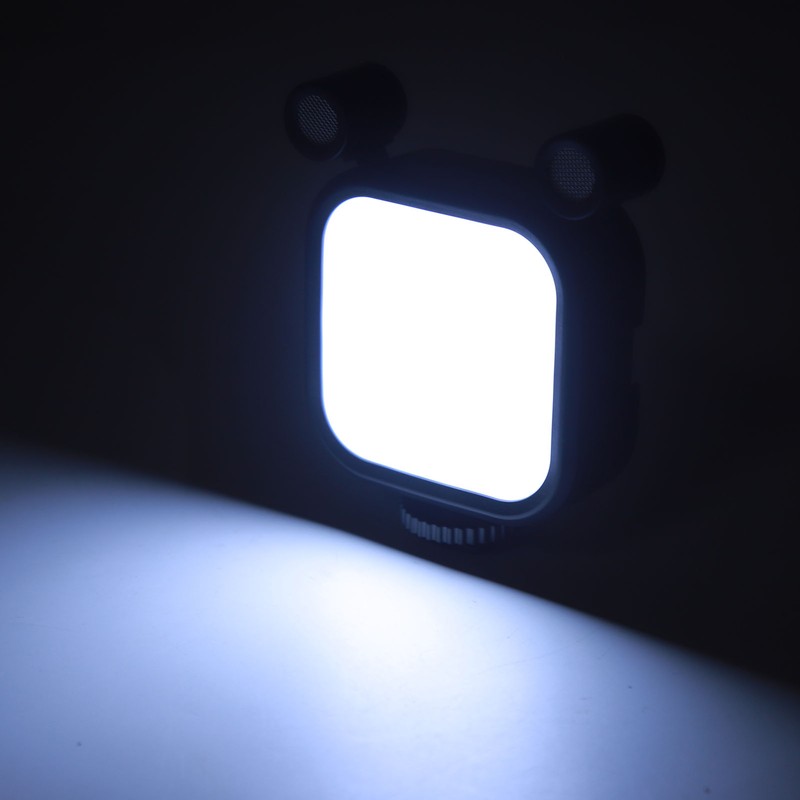 Stereo Microphone Light 10 Levels Brightness Dual Mic Fill Lamp