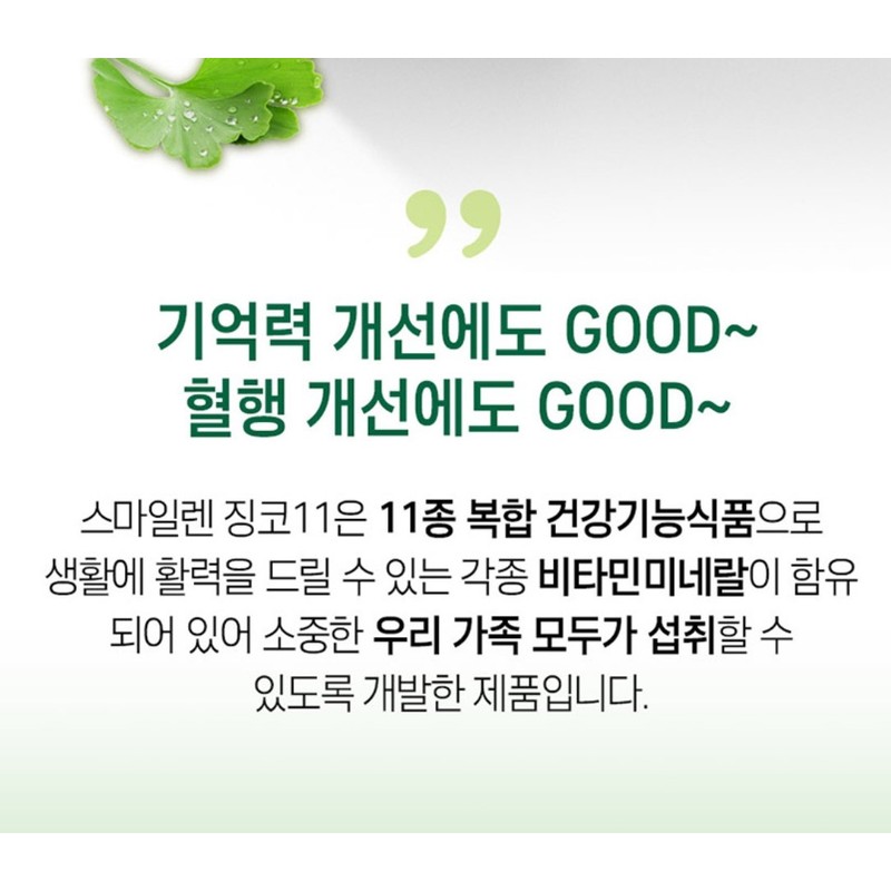 Zincmin Ginkgo Biloba Extract Benefits Memory Improvement Vitamin Nutrition /