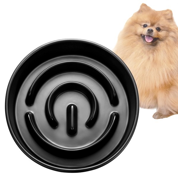 Ceramic Slow Feeder Dog Bowl for Small Breed, Dog Slow