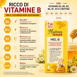Ambrosoli Mielness Miel-B 150 ml – Integratore Alimentare con Miele Millefiori e Vitamine Gruppo B (B1, B2, B3, B5, B6, B12, Biotina) – Energia e Riduzione Stanchezza