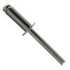 Eisenwaren2000 4 x 8 mm blind rivet (100 pieces) -