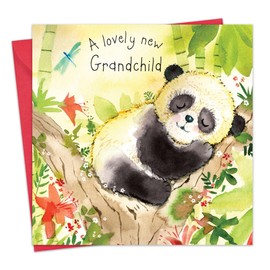 Twizler New Grandchild Card with Baby Panda - New Baby Card - Congratulations Card - New Granddaughter Card - New Grandson Card - New Grandparents Cards - New Grandchild Gifts