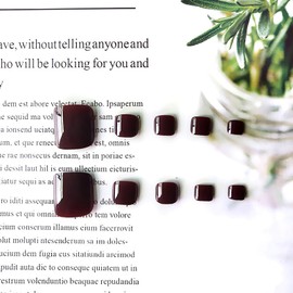 Lwenjing 24pcs Nail Tips for Foot Thumb Foot Pedicure False Nails Nail Tips Foot Nails Reusable Gel Nail Tips for Practice Salon Summer Nails Summer Jelly Tips Ultra Slim Pedi Easy to Apply (Y14)