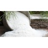 Bulk Herbs: Sea Salt (Fine)