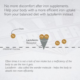 PROTERO Pure Lactoferrin | New Zealand Grass-fed | Highly-Purified - 30 Capsules