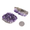 JUST IN STONES 1/2LB Natural Large Amethyst Geode Crystal Cluster
