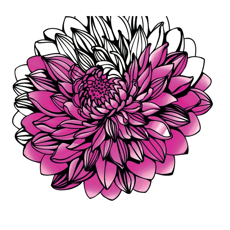 Chameleon 5-Pen Floral Tones