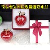 TradeWind Feng Shui Good Luck Apple, Interior Decor, Crystal Figurine,