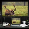 70-inch Portable HD Projector Screen 16:9 Projection Screen Foldable Thick