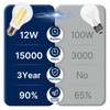 FLSNT 100W Equivalent A19 LED Light Bulbs, Efficient 12W, 1600Lumens,