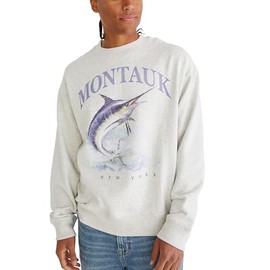 AEROPOSTALE Men's Popover Graphic Crew Neck Sweatshirt, Grey