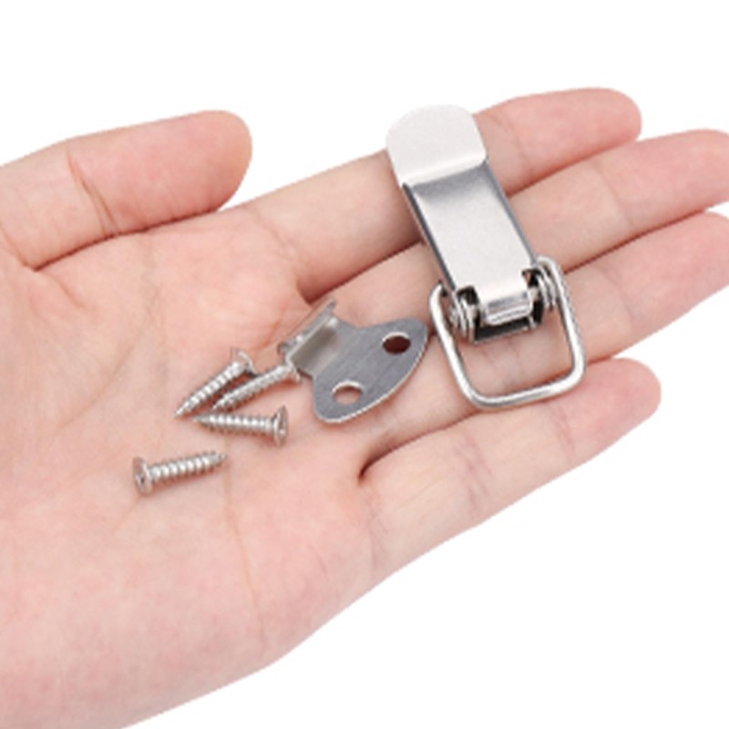 Pack of 2 Stainless Steel Toggle Latches with Screws, Box