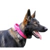 DINGO GEAR Drago Leather Dog Collar, Amortized with Strong Wide