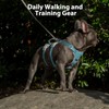 Huntboo Escape Proof Dog Harness, No Pull Reflective Harness with