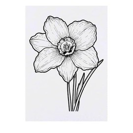 'Daffodil Flower' Temporary Tattoo - Water Resistant, Skin-Safe, Non-Toxic Transfer (TO00074399)