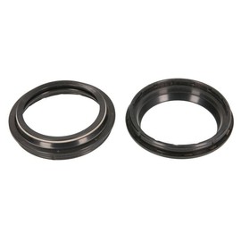 ARI- PAIR OF DUST SEALS 48 X 58,4 X 5,8/13 Y-2 CAP