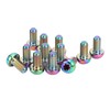 12pcs RISK Bicycle Disc Brake Rotor Bolts M5x10mm T25 Titanium