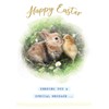 Easter Card Open Bunny & Chick - 7 x 5