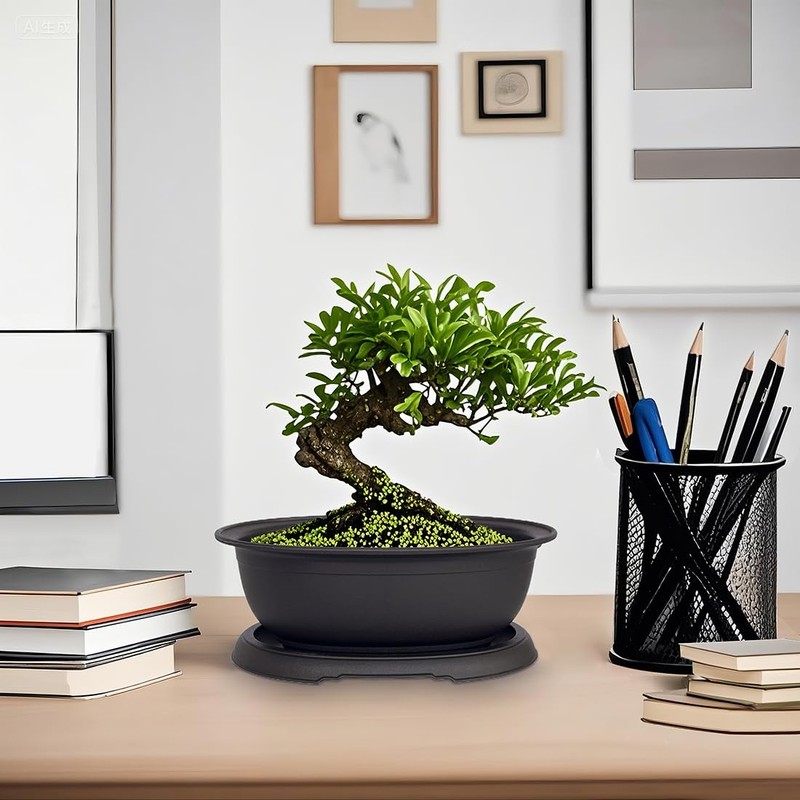MUZHI 3 Pack Oval Bonsai Training Pot with Drainage Tray,
