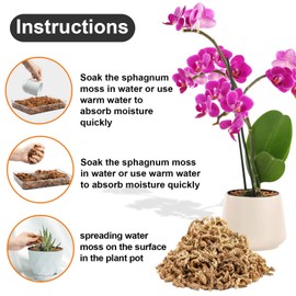 Sukh 6oz Sphagnum Moss for Plants - Sphagnum Peat Moss Natural Premium Long Fibered Chile Dried Moss Potting Mix for Orchids Succulent Carnivorous Potted Plant Reptiles Medium