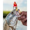 Bomber Lures BSWDTL3348 Saltwater Grade Badonk-A-Donk Low Pitch, Silver Flash/Pink