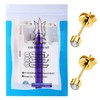 2PCS Ear Nail Gun Disposable Aseptic Household Ear Piercing Gun