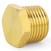 TAISHER 20 Pcs Brass Outer Hex Thread Socket Pipe Plug