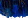 50 Pcs Sapphire Blue Pheasant Feathers 2-3 Inches Plumage for