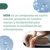 Articulaciones