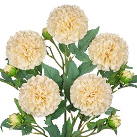 Hollyone 5PCS Dahlia Artificial Flowers 24.8" White Fake Ball Dahlias Silk Flowers Faux Roses Flower with Long Stems for DIY Wedding Bouquets Table Centerpieces Arrangements Bridal Party Home Decor
